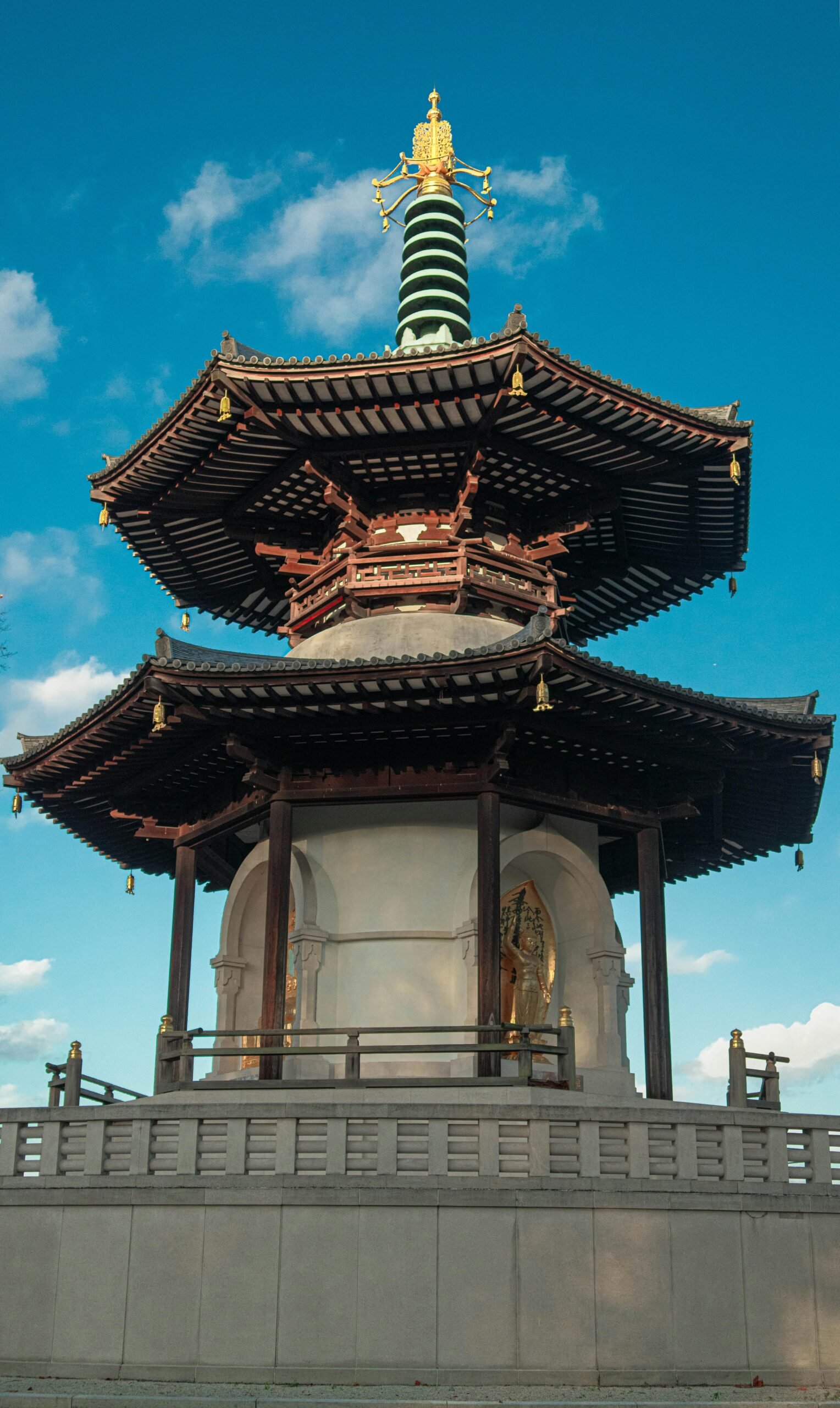 pexels moses mcdonald 1141826 29538589